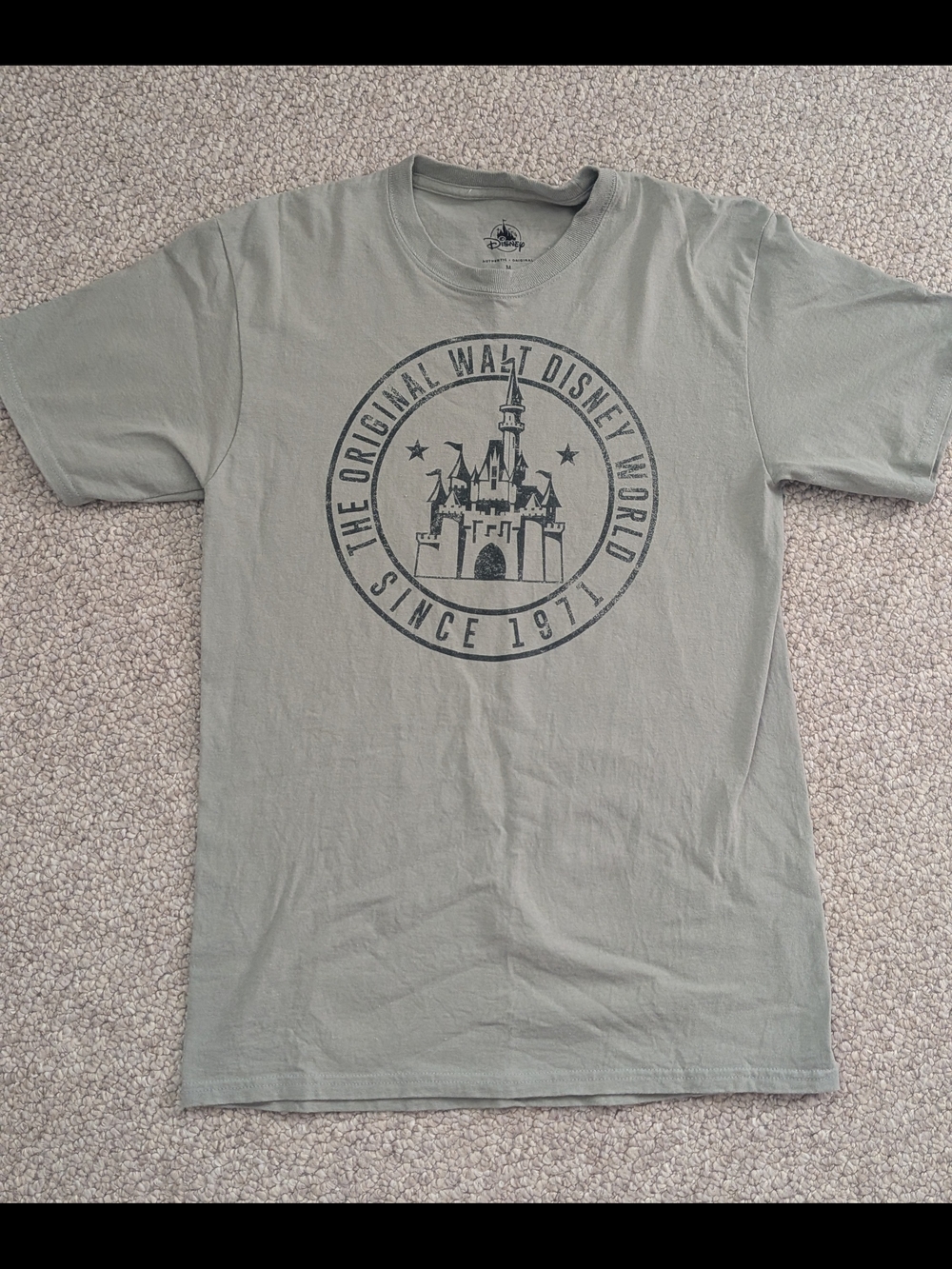 Disney Men's Castle Logo Tee - Sage Green Wash Men's M